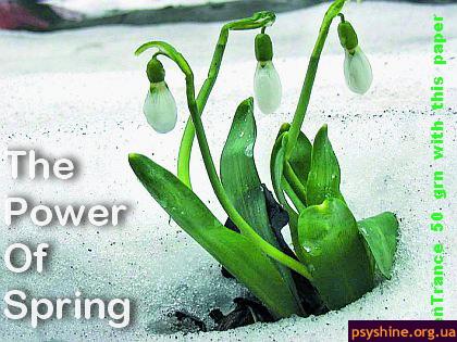 The Power Of Spring 